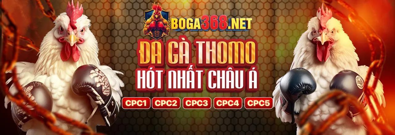 Hình ảnh chính môi trường cá cược an toàn FB88